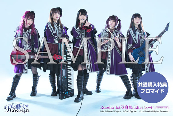 Roselia 初期メンバーブロマイド A4 | www.bumblebeebight.ca