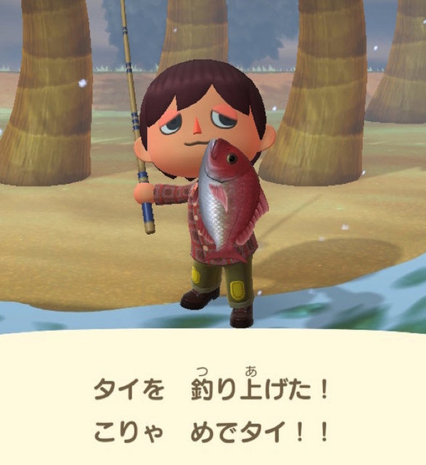 ニセモノに注意？「あつまれ どうぶつの森」で釣れるタイってどんな魚