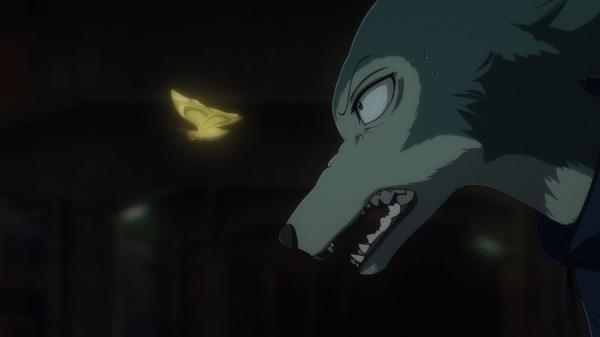 Beastars 第2期 レゴシたちの血みどろの青春が最後の幕を開ける 第24話 最終話 先行カット アニメ アニメ