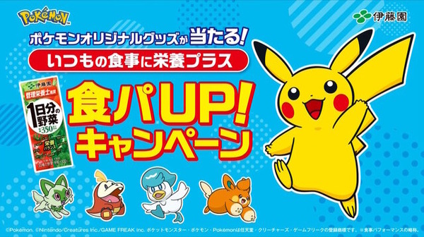 ポケモン　ピカチュウ着るビーズクッション