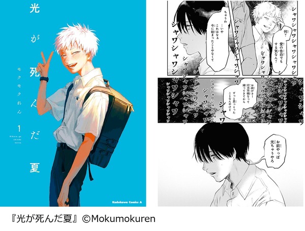 漫画　小説　DVD パンフレットなどまとめ　ドクターストーン、光が死んだ夏 漫画 小説 DVD パンフレットなどまとめ ドクターストーン、光が