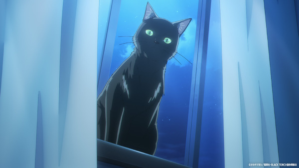 夏アニメ「BLACK TORCH」動物と話せる忍者の末裔・弐郎はある日、黒猫