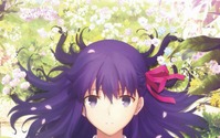 劇場版「Fate/stay night[HF]」新たな来場者特典は？ 4DX＆MX4D版、2月3日上映スタート 画像