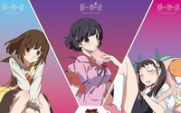 西尾維新アニメプロジェクト　<物語>シリーズセカンドシーズンTOKYO MXなど放送局決定 画像