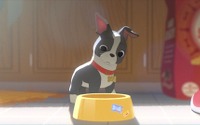 「ベイマックス」と「愛犬とごちそう」ディズニー同時上映作品が米国アカデミー賞ダブル受賞 画像
