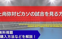 【12月27日】井上尚弥対ピカソの試合を見る方法！無料視聴・PPV購入方法などを解説【ボクシング情報 画像