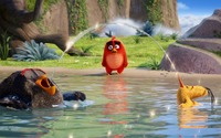 「アングリーバード」本編映像を先行公開 3匹の鳥たちがお笑いトリオのような掛け合いを披露 画像