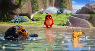アングリーバード 本編映像を先行公開 3匹の鳥たちがお笑いトリオのような掛け合いを披露 アニメ アニメ