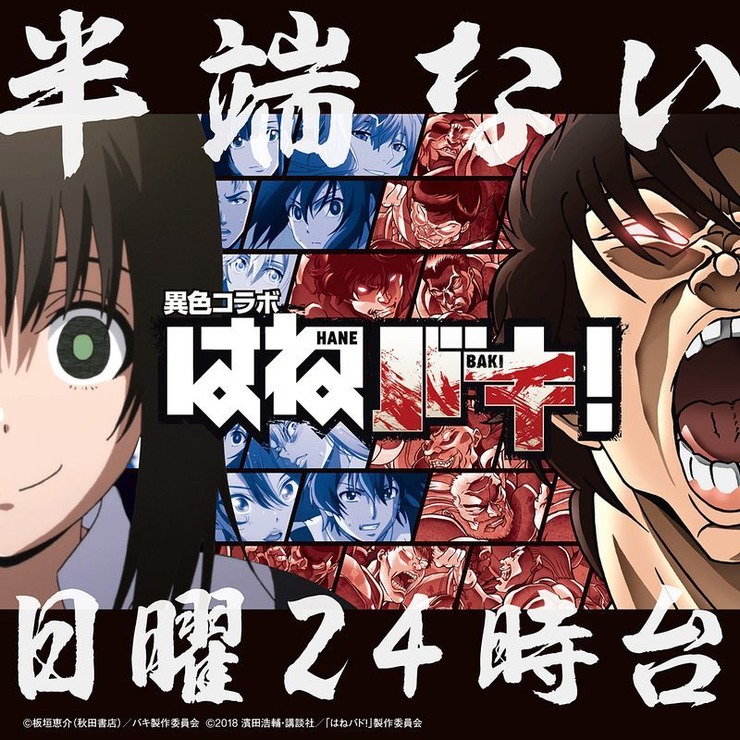 「はねバキ！」ビジュアル（C）2018 濱田浩輔・講談社／「はねバド！」製作委員会（C）濱田浩輔／講談社（C）板垣恵介(秋田書店)／バキ製作委員会