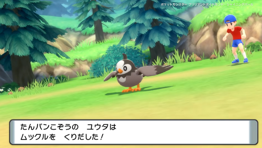 『ポケモン ダイパリメイク』にも参戦確定!? 最難関「たんパンこぞうのユウタ」の強さとは…