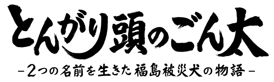 『とんがり頭のごん太 ―2つの名前を生きた福島被災犬の物語―』（C）ワオ・コーポレーション／光文社