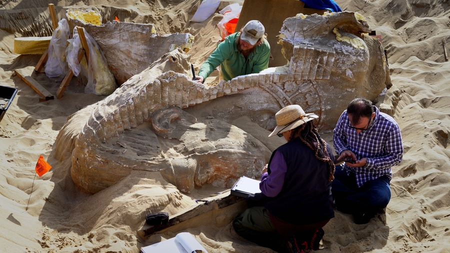 『土曜ミステリーファイル「仰天！海の底まる見え検証 4」』(c)National Geographic