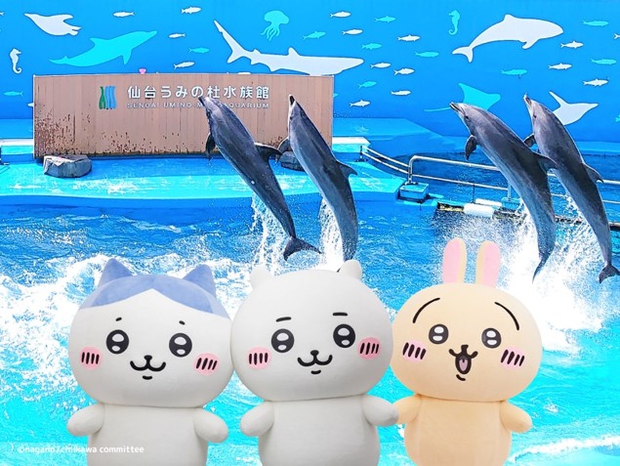 「ちいかわ水族館 in 仙台うみの杜水族館」期間限定で開催（C）nagano / chiikawa committee