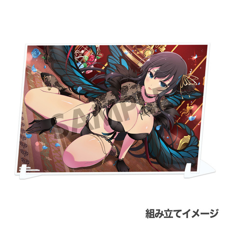 「シノビマスター 閃乱カグラ NEW LINK ビジュアルアクリルプレート」各3,300円（税込）（C）Marvelous Inc.（C）HONEY PARADE GAMES Inc.