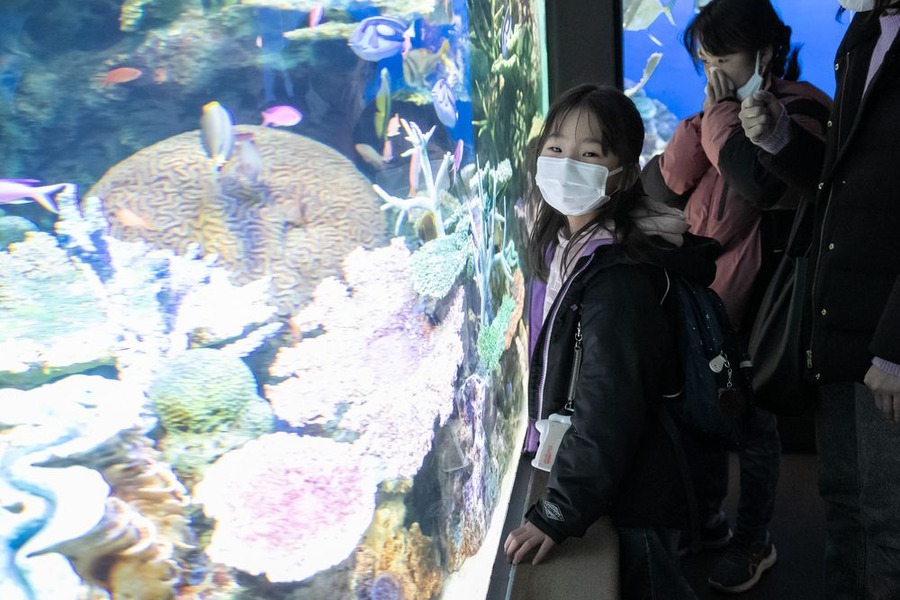 こどもワークショップ アニメ水族館