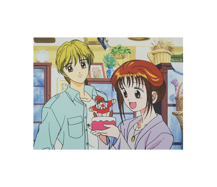連載開始20周年記念 アニメ「ママレード・ボーイ」DVD-BOX 全76話＋