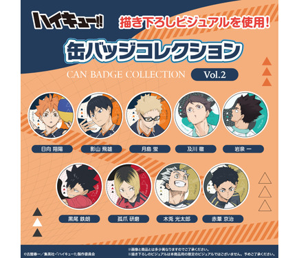 ハイキュー　グッズ　まとめ売り　缶バッジ　ラバスト　アクスタ ハイキュー グッズ まとめ売り 缶バッジ ラバスト アクスタ TVアニメ