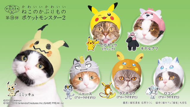 ポケモン 猫にかぶせる 激かわ アイテム登場 ピカチュウほかアローラ地方ポケモン集合 アニメ アニメ