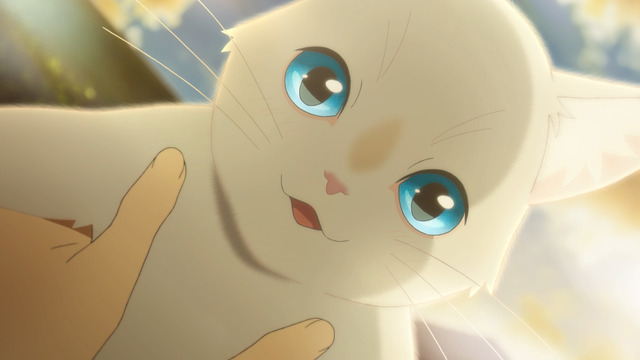 22日はにゃんにゃんの日 泣きたい私は猫をかぶる ほか しゃべる猫 キャラ3選 アニメ アニメ