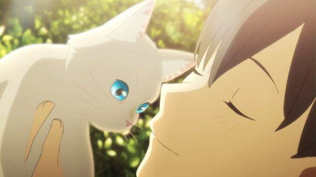 Netflixアニメ映画 泣きたい私は猫をかぶる 山寺宏一 寿美菜子ら