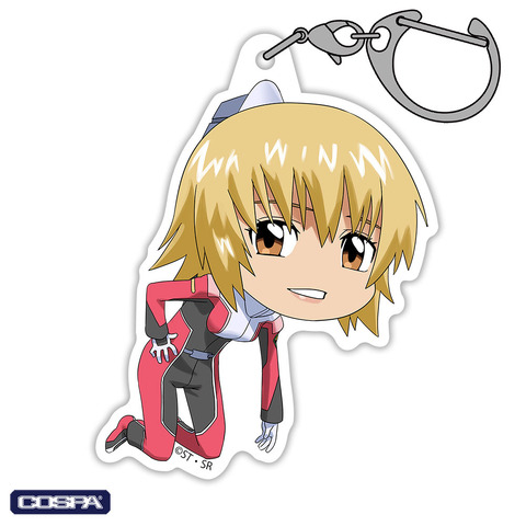 『機動戦士ガンダムSEED FREEDOM』「カガリ・ユラ・アスハ アクリルつままれ」