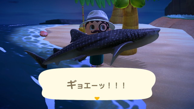 あつまれ どうぶつの森 6月からは虫取り 魚釣りが熱い 新登場した高額生物たちの出現場所 時間帯を紹介 アニメ アニメ