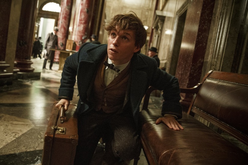 (C) 2016 Warner Bros. Ent. All Rights Reserved.Harry Potter and Fantastic Beasts Publishing Rights (C) JKR