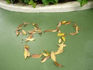 人気no1 は 金環日食とミッキー 東京ディズニーリゾートの12年写真ランキング 2枚目の写真 画像 アニメ アニメ