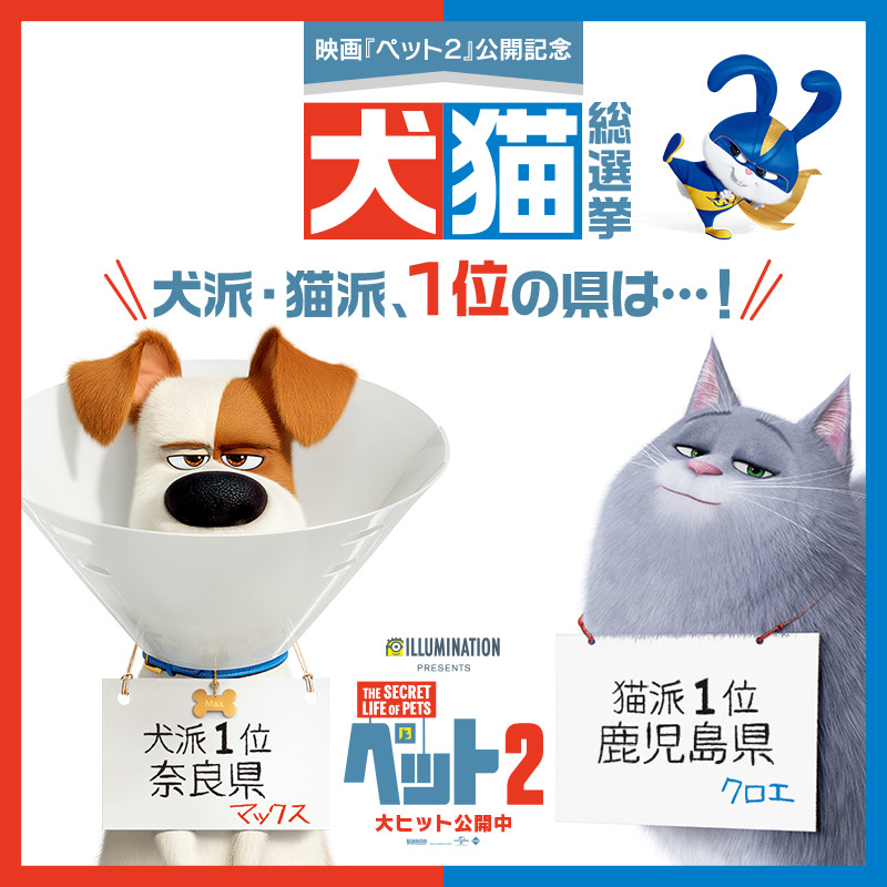 『ペット2』犬猫総選挙 県別トップ（C）Universal Studios.