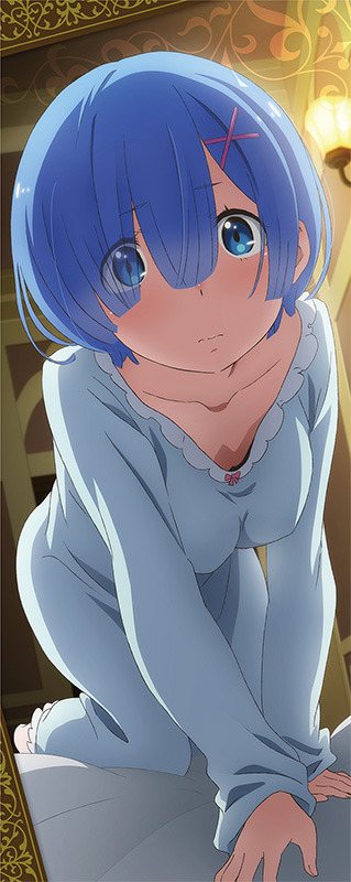 Re ゼロから始める異世界生活 レムを隣に置いてくれますか レムを近くに感じられる お泊りセット 登場 8枚目の写真 画像 アニメ アニメ