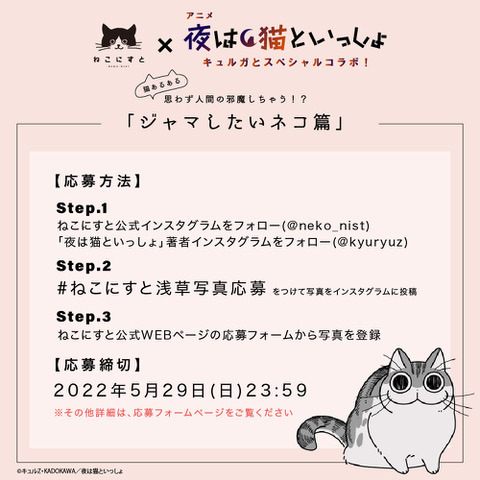 『夜は猫といっしょ』展示イベント「ねこにすと」コラボ（C）キュルZ・KADOKAWA／夜は猫といっしょ