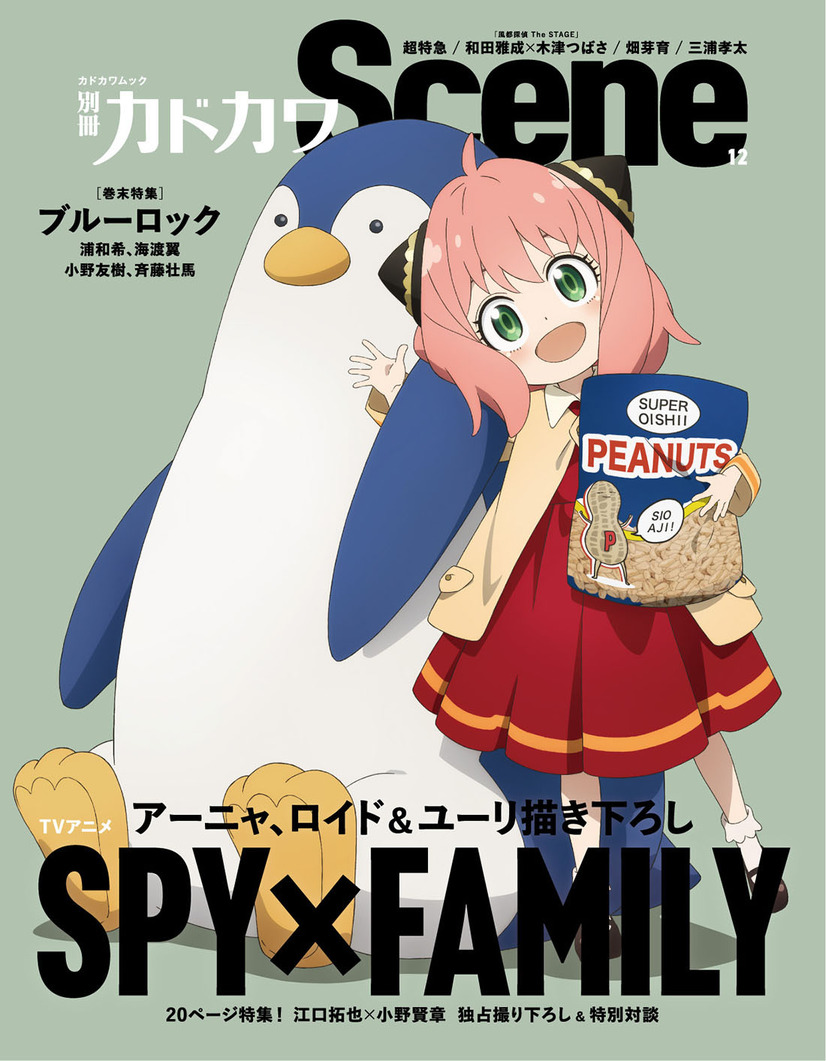 「別冊カドカワScene 12」表紙画像 / TVアニメ『SPY×FAMILY』