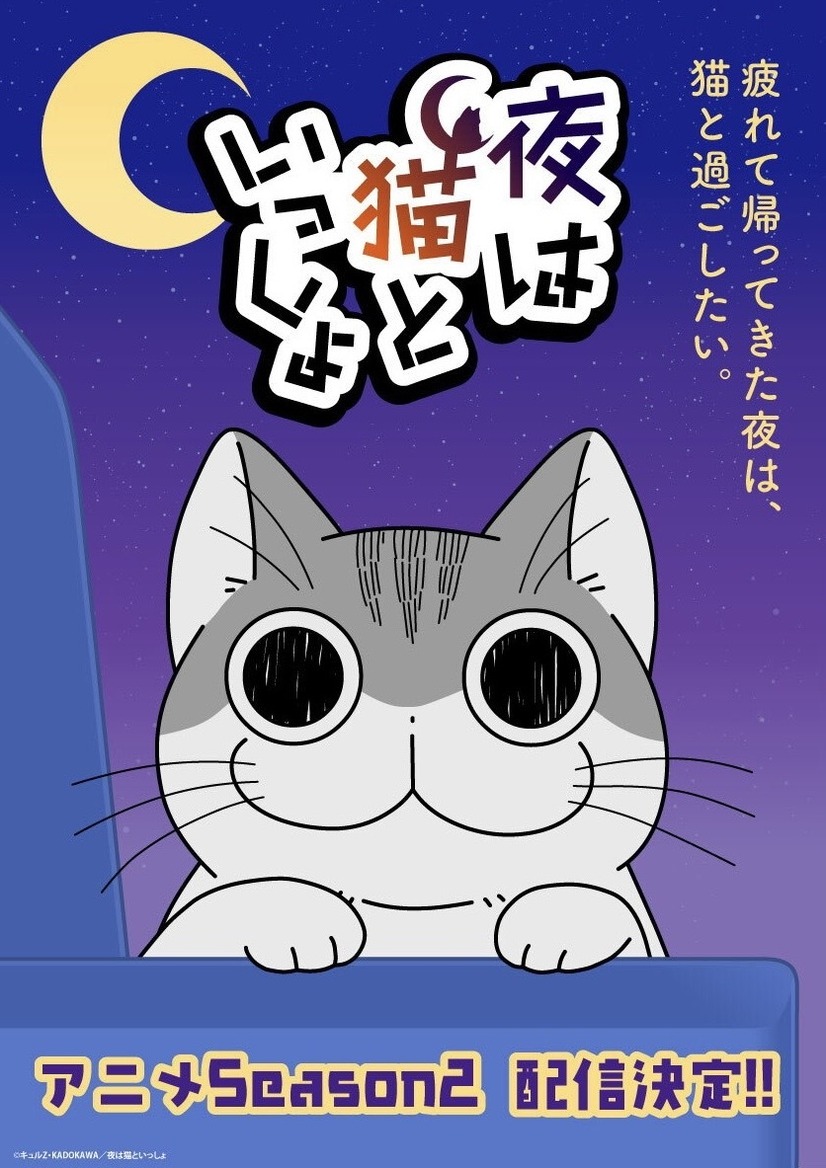 『夜は猫といっしょ』メインビジュアル（C）キュル Z・KADOKAWA/夜は猫といっしょ