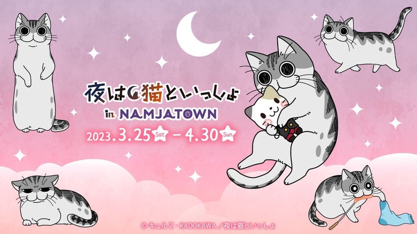 『夜は猫といっしょ』ナンジャタウン（C）キュル Z・KADOKAWA/夜は猫といっしょ