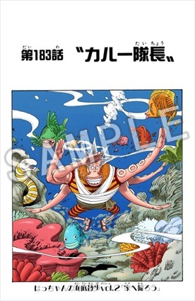 One Piece サイドストーリー描く 扉絵 をフルカラー配信 単行本80巻発売記念 3枚目の写真 画像 アニメ アニメ