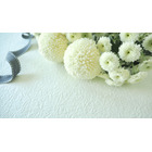 「サザエさん」初代イクラちゃん役の声優・桂玲子が逝去 「一休さん」や「ヤッターマン」にも出演 画像