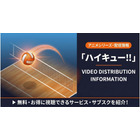 「ハイキュー!!」の見る順番は？全シリーズのあらすじと配信サービスまとめ 画像