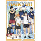 「ハイキュー!!」日向・影山・黒尾・研磨・木兎・赤葦の“クールダウン”姿を描き下ろし！アニメイトで新商品販売＆フェア開催 画像