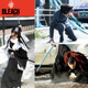 実写映画「BLEACH」