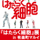 「はたらく細胞」展開催！場面写真や絵コンテ＆原作・清水茜の原画も展示 画像
