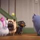 「ペット2」沢城みゆき、“猫耳ギジェット”に「ノックアウトされています」最新映像公開 画像
