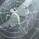 「森の伝説 第二楽章」完成記念　横浜で手塚治虫の実験アニメーション特集　　 画像