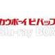 「カウボーイビバップ」BD-BOX化決定　新規特典も盛り込み12月21日発売 画像