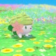 『ポケモン ダイパリメイク』で「シェイミ」を仲間にしよう！ 「オーキドのてがみ」を順次配信開始 画像