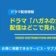 ドラマ「ハガネの女」の配信はどこで見れる？無料視聴できるサービス・サブスクを紹介！ 画像