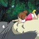 「となりのトトロ」、「火垂るの墓」が遂にBDに　7月18日発売決定 画像