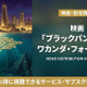 映画「ブラックパンサー／ワカンダ・フォーエバー」の配信状況を徹底解説 画像