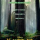 ディズニー実写最新作「ピートと秘密の友達」12月23日公開 少年の友情を描くファンタジー 画像