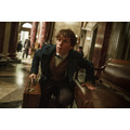 (C) 2016 Warner Bros. Ent. All Rights Reserved.Harry Potter and Fantastic Beasts Publishing Rights (C) JKR
