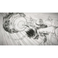 (C)尾田栄一郎／2016「ワンピース」製作委員会